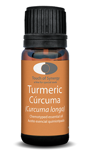 Cúrcuma - Turmeric - Curcuma longa curcuma-turmeric-curcuma-longa