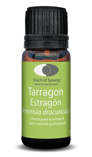 Estragón - Tarragon - Artemisia dracunculus estragon-tarragon-artemisia-dracunculus
