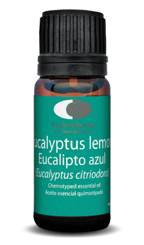 Eucalipto azul - Eucalyptus lemon - Eucalyptus citriodora eucalipto-azul-eucalyptus-lemon-citriodora