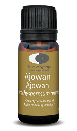 Ajowan - Trachyspermum ammi ajowan-trachyspermum-ammi