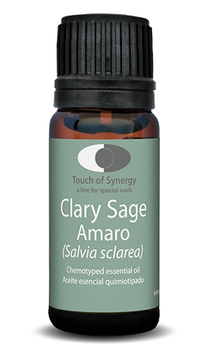 Amaro - Clary Sage - Salvia sclarea amaro-clary-sage-salvia-sclarea